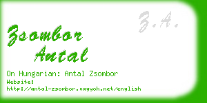 zsombor antal business card